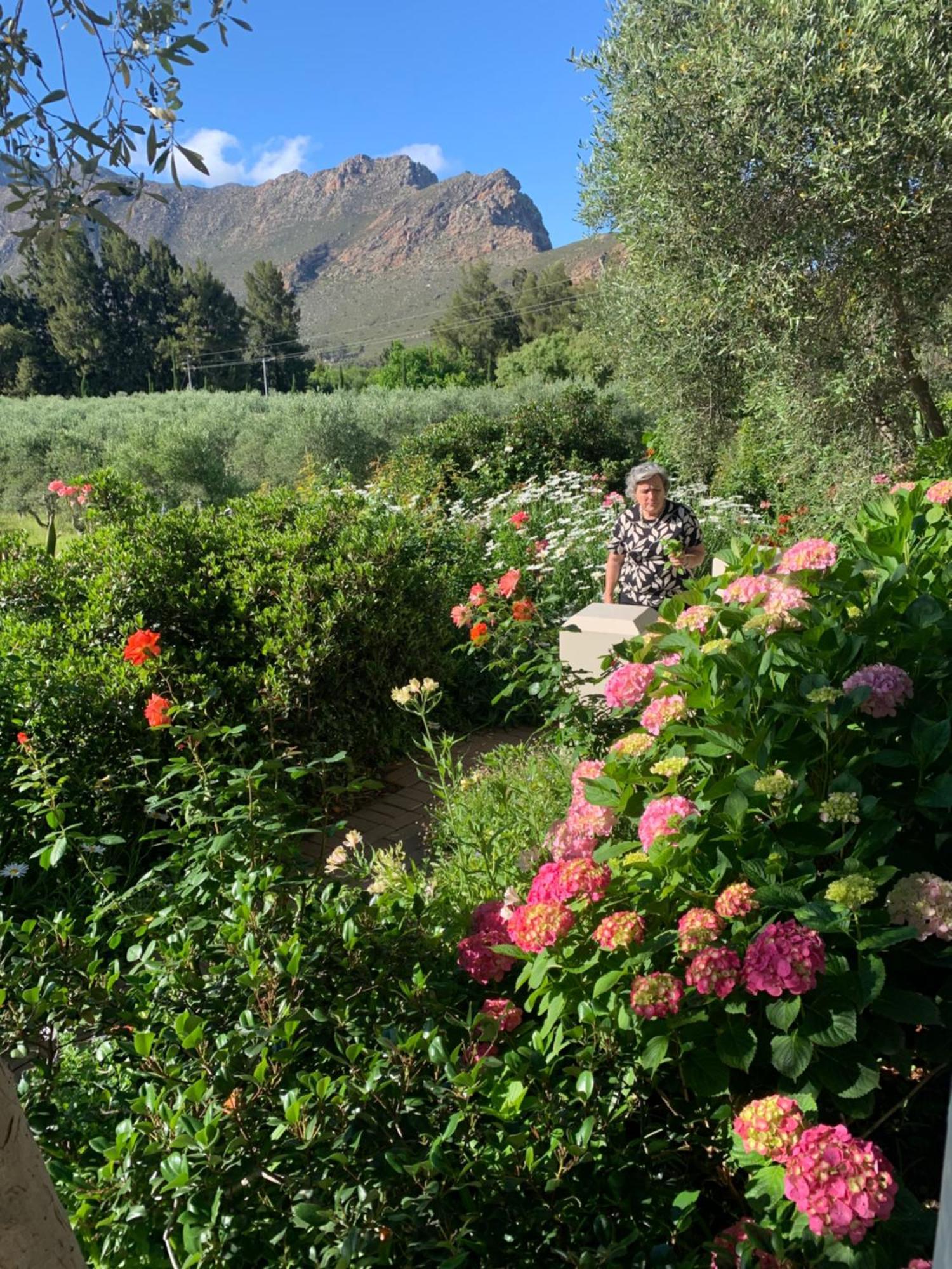 Montagu Vines Guesthouse Exterior photo